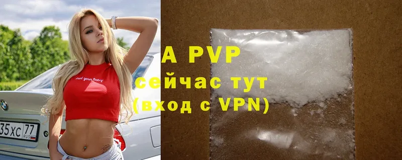 A PVP СК  Новороссийск 